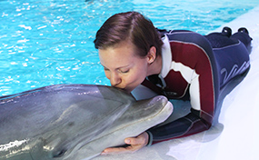Närkontakt delfin