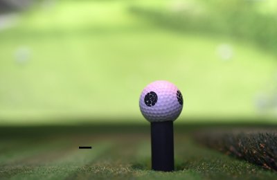 Spela Virtual Golf